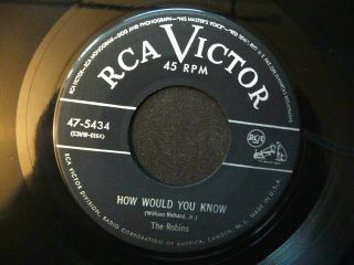 The Robins - How Would You Know/let 