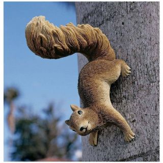 Tree Climbing Squirrel Garden Statue Life Size Wall Sculpture