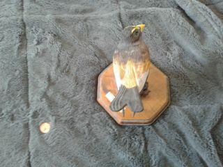 Hand Carved,  Mounted Grossbeak On Driftwood By R.  J.  Stout,  7 " X 6 "