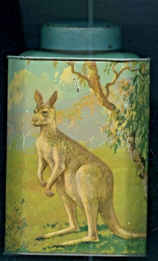 C.  1920 ' S EMBOSSED AUSTRALIANA WILDLIFE BUSHELLS TEA TIN 2