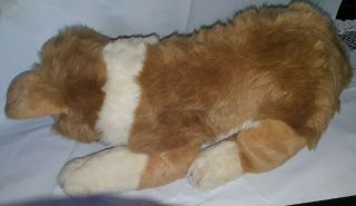 Vtg 1986 Applause Dog Plush Avanti Italy Collie Pup Life Size 14 " Realistic 1055