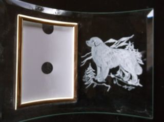 Great Pyrenees - Hand Engraved,  Beveled Glass Photo Frame By Ingrid Jonsson