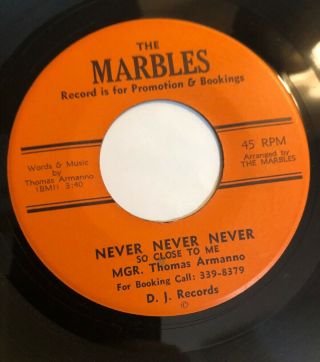 The Marbles Never Never Never D.  J.  Records Rare Orig.  ‘60s Garage Fuzz 45