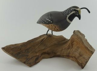 California Quail On Driftwood,  Handpainted,  Signed Ceramic Vintage Bird Figurine