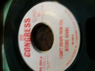 Northern Soul - Frankie Karl You should have held on Congress EX 2