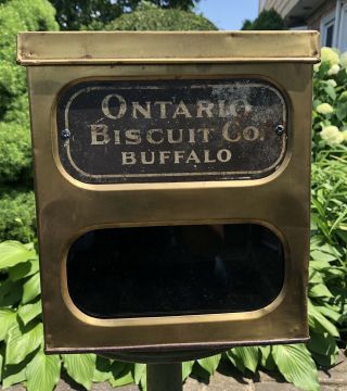 Vintage Ontario Biscuit Store Tin Store Display With Glass