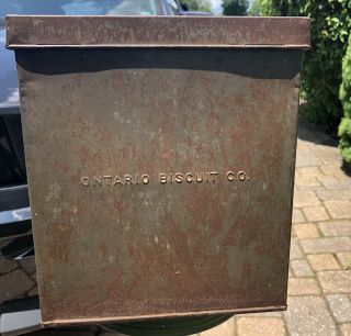 Vintage Ontario Biscuit Store Tin Store Display With Glass 5