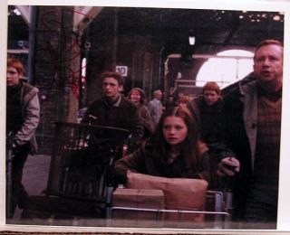 Harry Potter Percy Weasley/rankin Autograph 8x10 Photo A - S&h