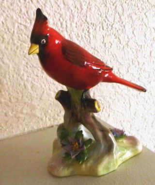 Royal Adderley " Virginian Cardinal " Porcelain Birds England Rare Firgurine