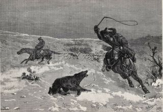 Wolf Hunt In Kyrgyzstan,  Kyrgyz Using Whips,  Large 1880s Antique Print & Article