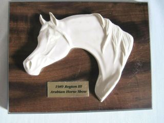 T.  Kelly Design Arabian Horse Head Award Plaque,  Trophy - - Repurpose