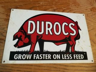 Durocs Hogs Pig Sign Farm Barn Feed Food Bacon Vintage Decor Art
