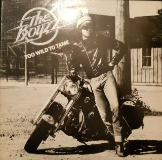 The Boyzz - Too Wild To Tame - Vinyl Album - Rare Demo Version