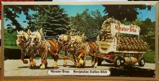 Vintage Meister Brau Tin Beer Tavern Sign 22 " X 11 " Westphalian Stallion Hitch