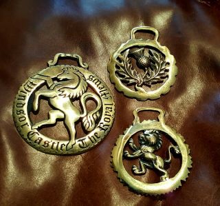 Horse Harness Brass Medallions - Three/large Windsor Castle Signed/thistle/lion