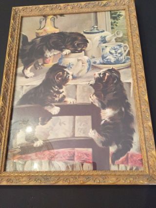 Vintage Print Of Kittens Playing Professionally Framed 13 ½ " X 18 ½ " Adorable