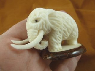 (tne - Mam - 774a) Little Baby Woolly Mammoth Tagua Nut Palm Figurine Bali Carving