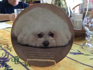 Danbury Bichon Frise “someone To Comfort”limited Edition Plate