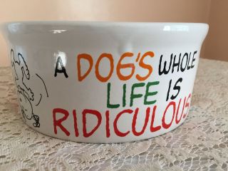 Snoopy A Dogs Life Is Ridiculous Stoneware Pet Bowl Peanuts Gang Dog Cat Food