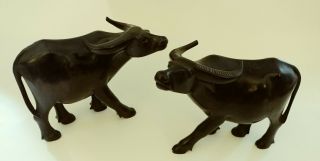 Set Of 2 Bull Oxen Figurines Hand Carved Wood Smooth Brown 5 " X 6 "