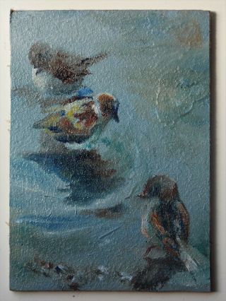 Aceo - William Jamison Miniature Oil Painting Sparrows Portrait