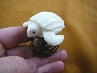 (tne - T - Lea - 458) White Leatherback Sea Turtle Carved Tagua Nut Figurine Vegetable