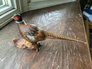 Miniature Carved Ringed - Neck Pheasant Signed