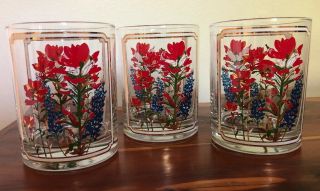 Vintage Texas Rocks Glasses Bluebonnets Indian Paintbrush Flowers Gold Mcm Juice