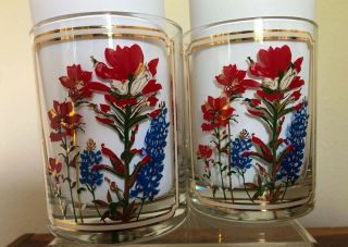 Vintage Texas Rocks Glasses Bluebonnets Indian Paintbrush Flowers Gold MCM Juice 2