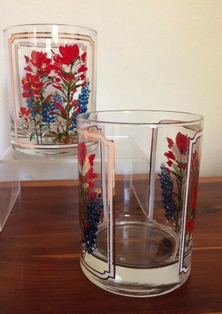 Vintage Texas Rocks Glasses Bluebonnets Indian Paintbrush Flowers Gold MCM Juice 3