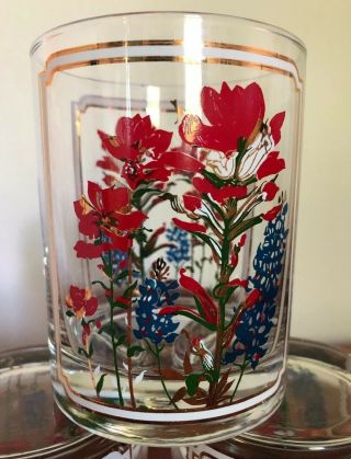 Vintage Texas Rocks Glasses Bluebonnets Indian Paintbrush Flowers Gold MCM Juice 4
