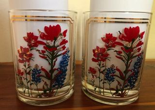 Vintage Texas Rocks Glasses Bluebonnets Indian Paintbrush Flowers Gold MCM Juice 5