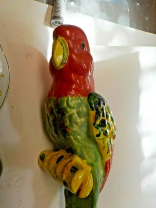 Vintage Parrot Planter Display Eye Catching Can Place On Ring 0002 Bright Color