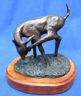 Artist? Signed Bronze Sculpture Figurine Deer Fawn Scratching Ear Wood Base