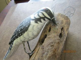 Wood Carved Woodpecker 7 " Bird On Wooden 8 " Limb