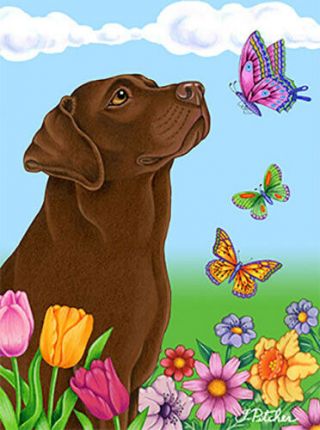 Butterfly House Flag - Chocolate Labrador Retriever 98028