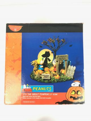 Peanuts Its The Great Pumpkin Lit Scene Department 56 Very Rare Decor 2004