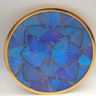 Vintage Iridescent Blue Morpho Butterfly Wing Plate Dish 5.  75 Inch