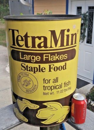 Rare Massive 18 " Vintage Tertramin Fish Food Tin Can West Germany Store Display