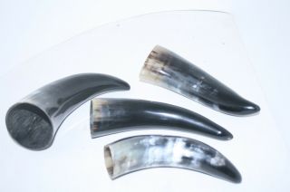 4 Cow Horns V4a95 Natural Colored,  Polished Cow Horns.