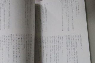 Biohazard Resident evil yaoi doujinshi Chris uke anthology (A5 152pages) FB II 8