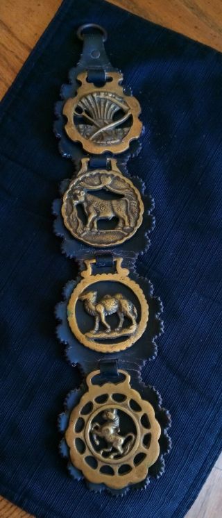 Antique English Horse Equestrian Leather Strap With Four Brass Badges