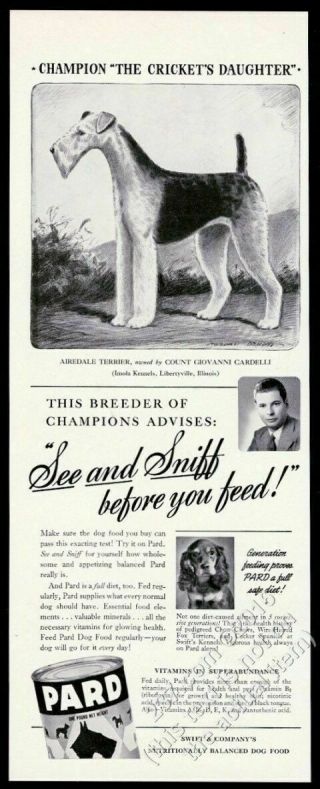 1941 Airedale Terrier Champion Dog Art Pard Dog Food Vintage Print Ad