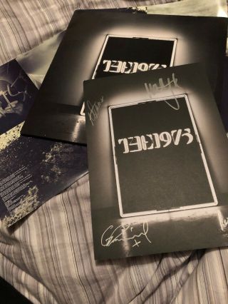 The 1975 - The 1975 Self Titled First Album 2 X Clear Vinyl Lp Signed Ultra Rare