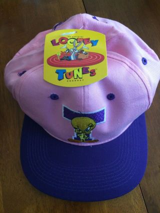 Tweety Bird Baseball Hat Pink And Purple Nwt