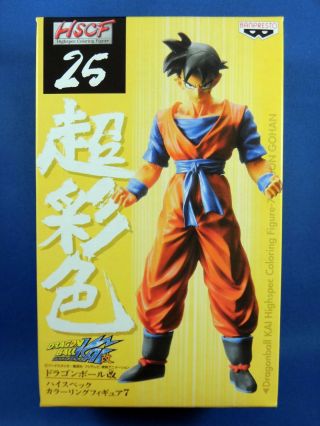 Dragon Ball Kai Hscf High Spec Coloring Figure No.  25 Future Gohan Banpresto