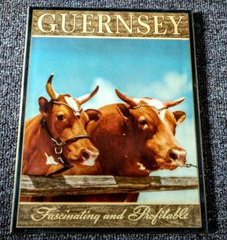 Rare Vintage " Guernsey " Cows " Facinating & Profitable " Sign.  L@@k