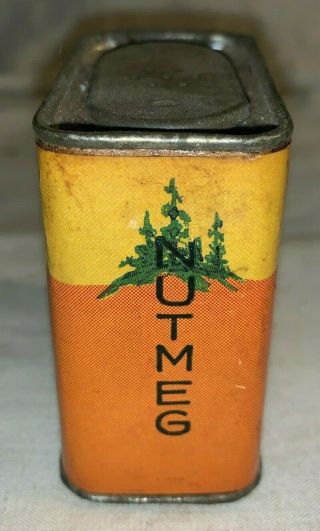 ANTIQUE PINE HILLS NUTMEG SPICE TIN VINTAGE SHEBOYGAN WI GROCERY STORE CAN TREE 2