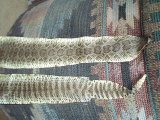 Rattlesnake Skin Prairie Rattler Hide Soft Tanned Bow Wrap Blanks Art 36 Inch R4