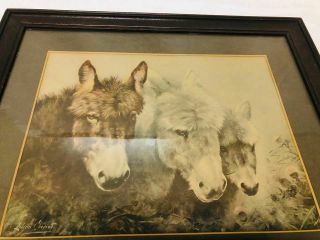Antique Print C1910 By Lilian Cheviot Donkeys Framed